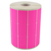 Pink Fluorescente